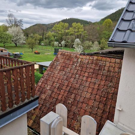 Ferienhaus Reschwitzer Auszeit Saalfeld Saale エクステリア 写真