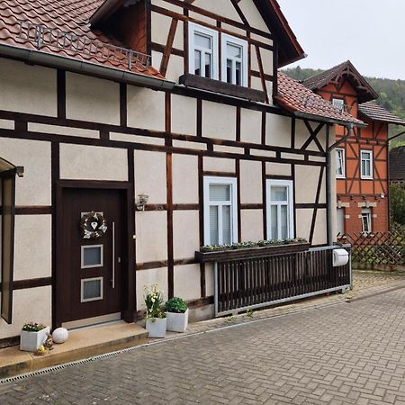 Ferienhaus Reschwitzer Auszeit Saalfeld Saale エクステリア 写真