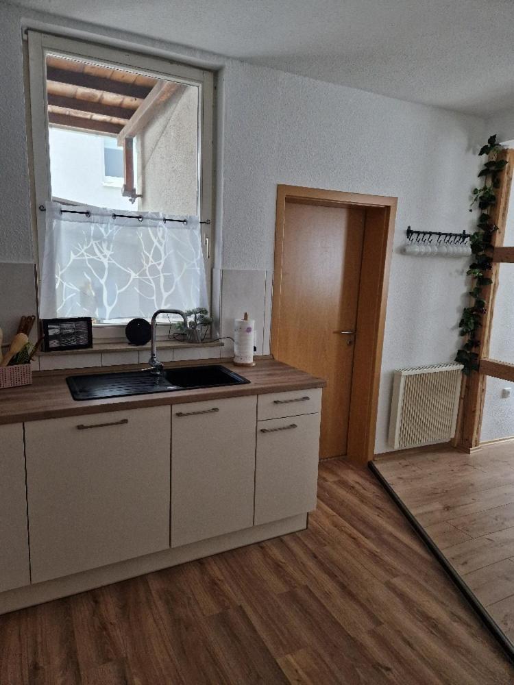 Ferienhaus Reschwitzer Auszeit Saalfeld Saale エクステリア 写真